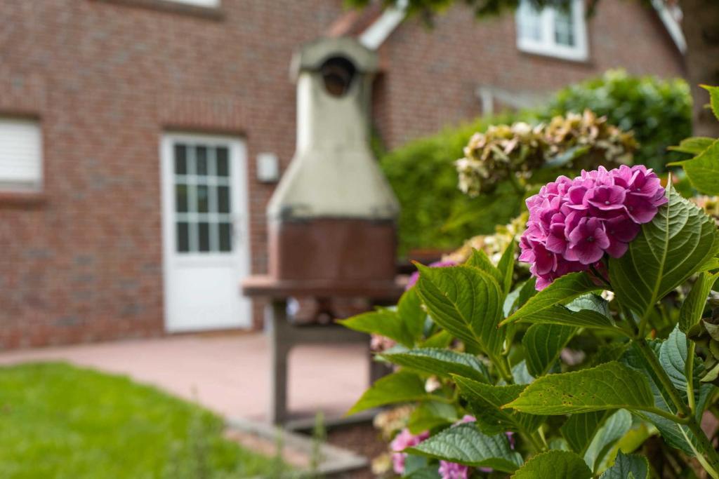 Ferienhaus Dünenwind room 5